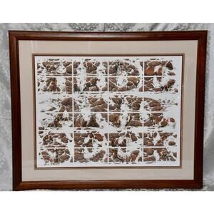 Bev Doolittle Limited Edition Signed & Numbered Hide and Seek Horses Framed Art